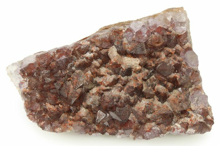 Thunder Bay Amethyst Cluster with Hematite - Canada #281238